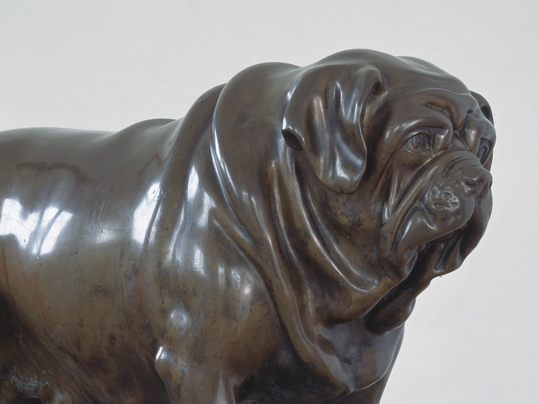 Bronzestatue einer stehenden Bulldogge mit muskulösem Körperbau, detaillierten Gesichtszügen und einem eingerollten Schwanz, ausgestellt auf einem Sockel.