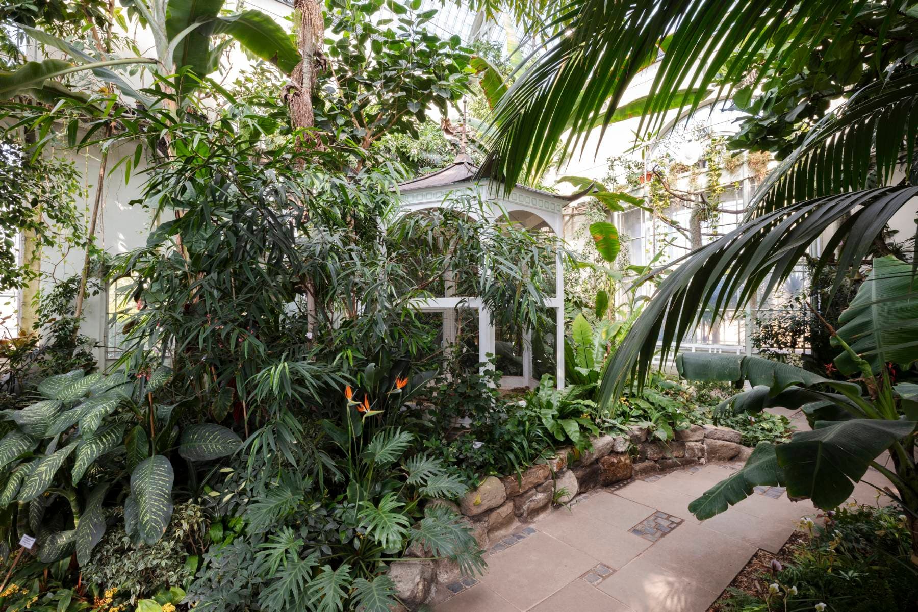 Vogelvoliere im Mittelbau des Gewächshauses umgeben von tropischen Pflanzen