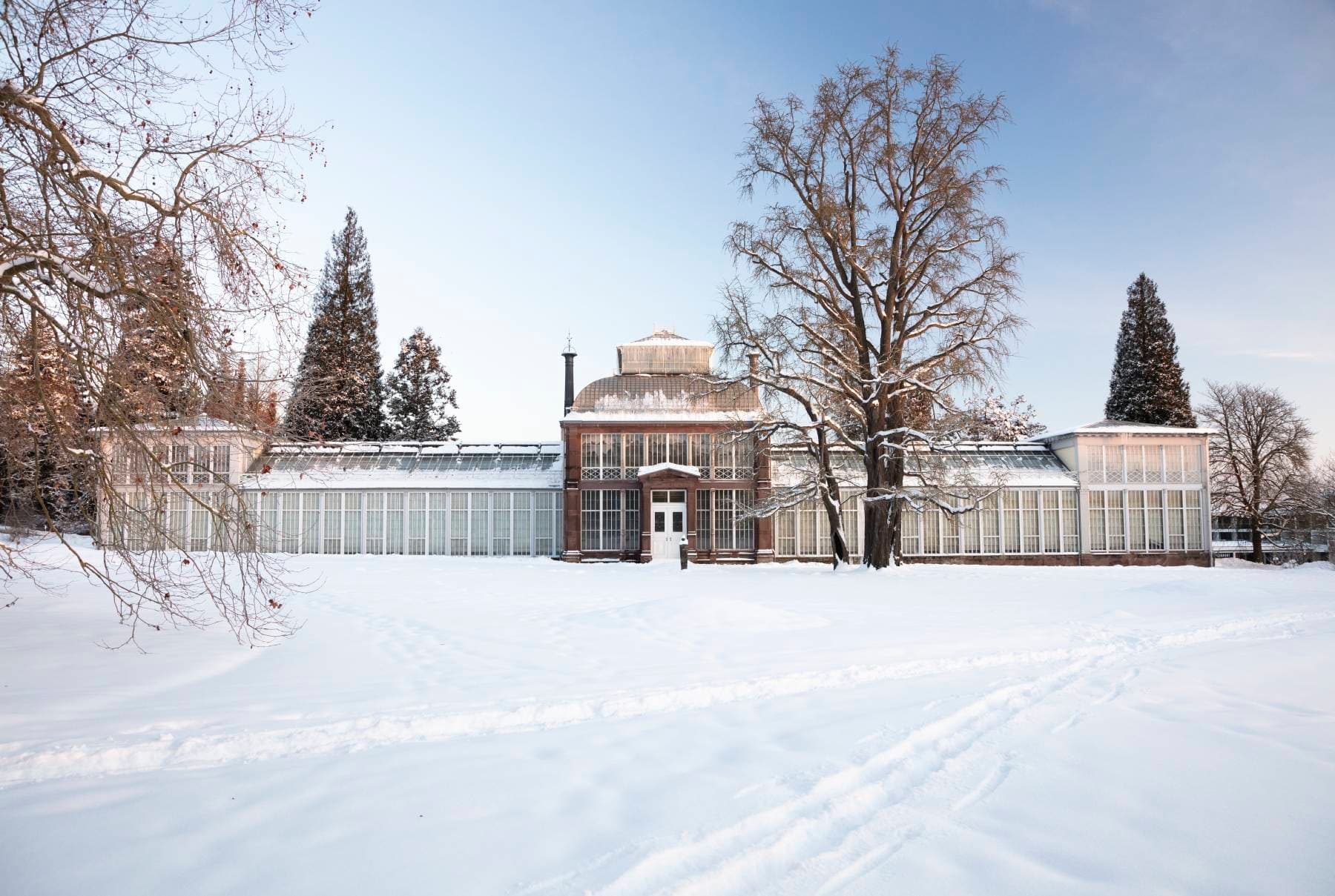 Gewächshaus im Winter am Ende einer Schneebedeckten Fläche