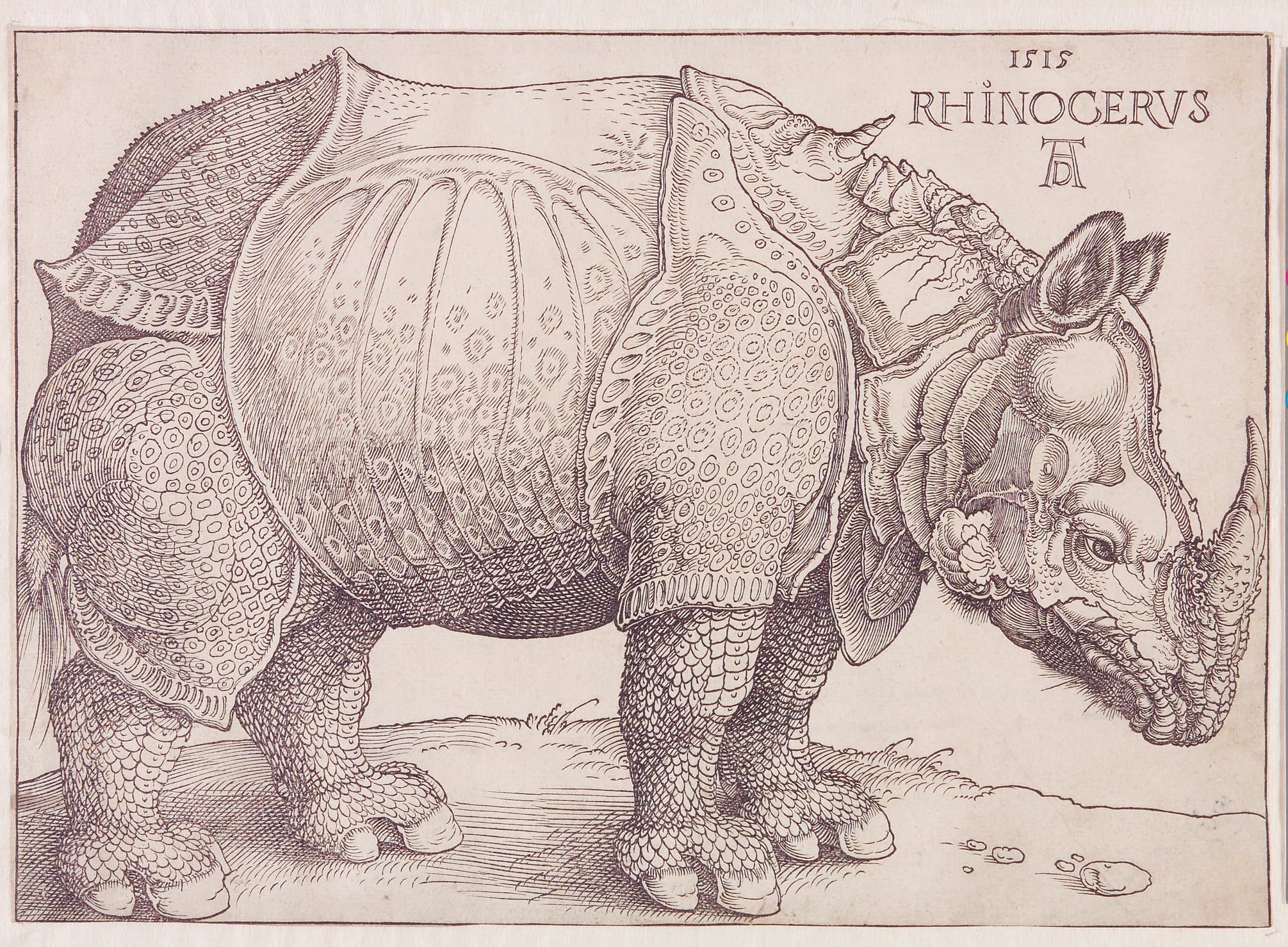 Eine grafische Darstellung eines Nashorns mit gemustertem Panzer