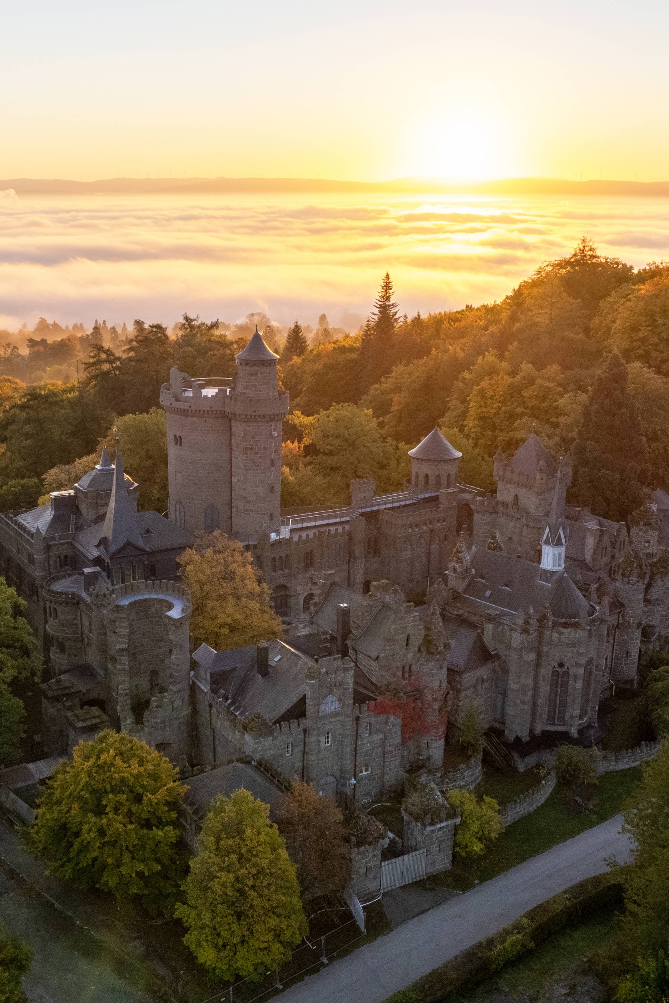 Luftaufnahme eines historischen Schlosses, umgeben von Herbstbäumen bei Sonnenaufgang, mit einer nebligen Landschaft und goldenem Himmel im Hintergrund.