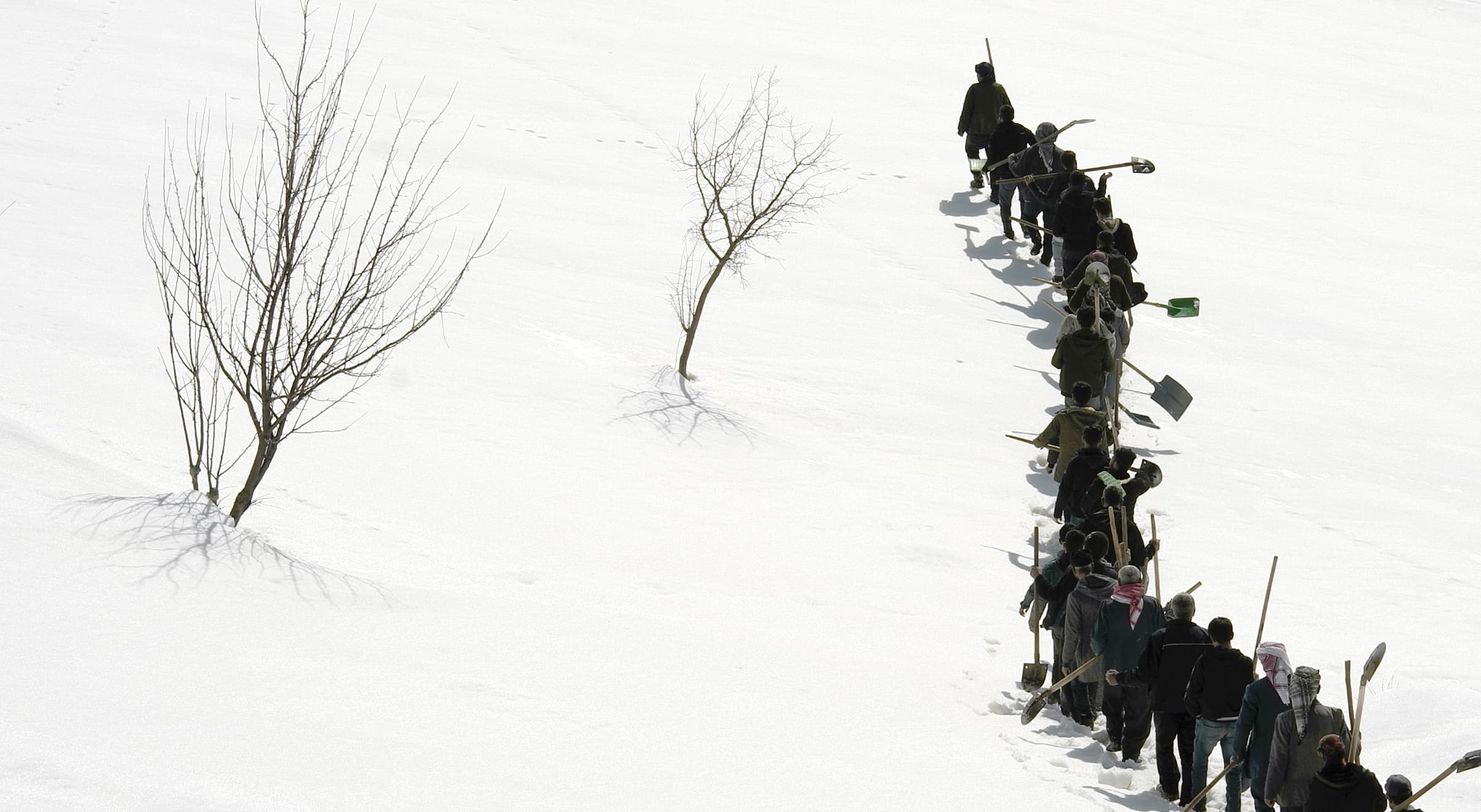 A line of people walking through deep snow, each carrying a shovel, with two bare trees nearby.