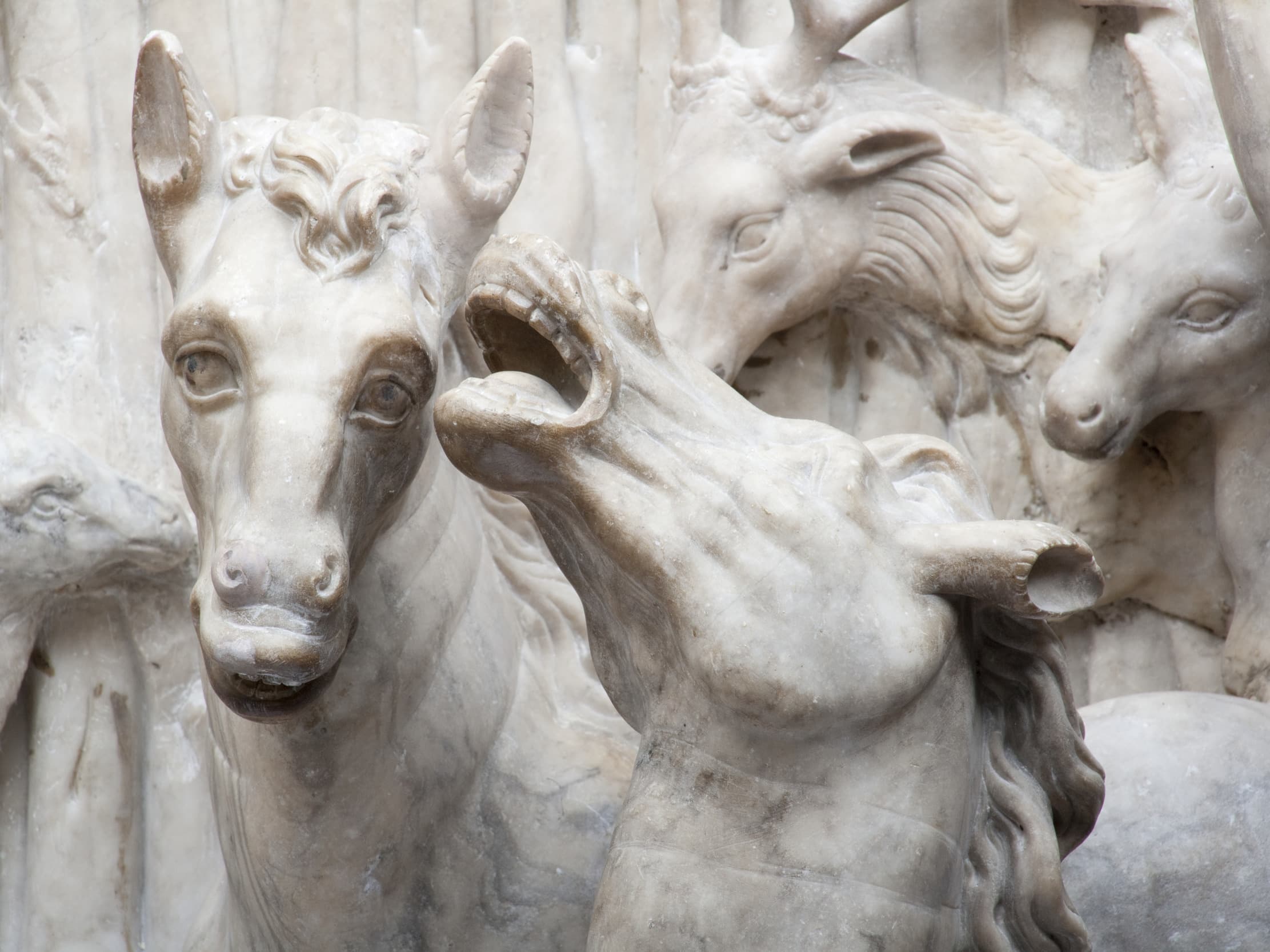 Nahaufnahme einer detaillierten Steinschnitzerei, die Pferde und andere Tiere darstellt und komplizierte Texturen und Ausdrücke zeigt.