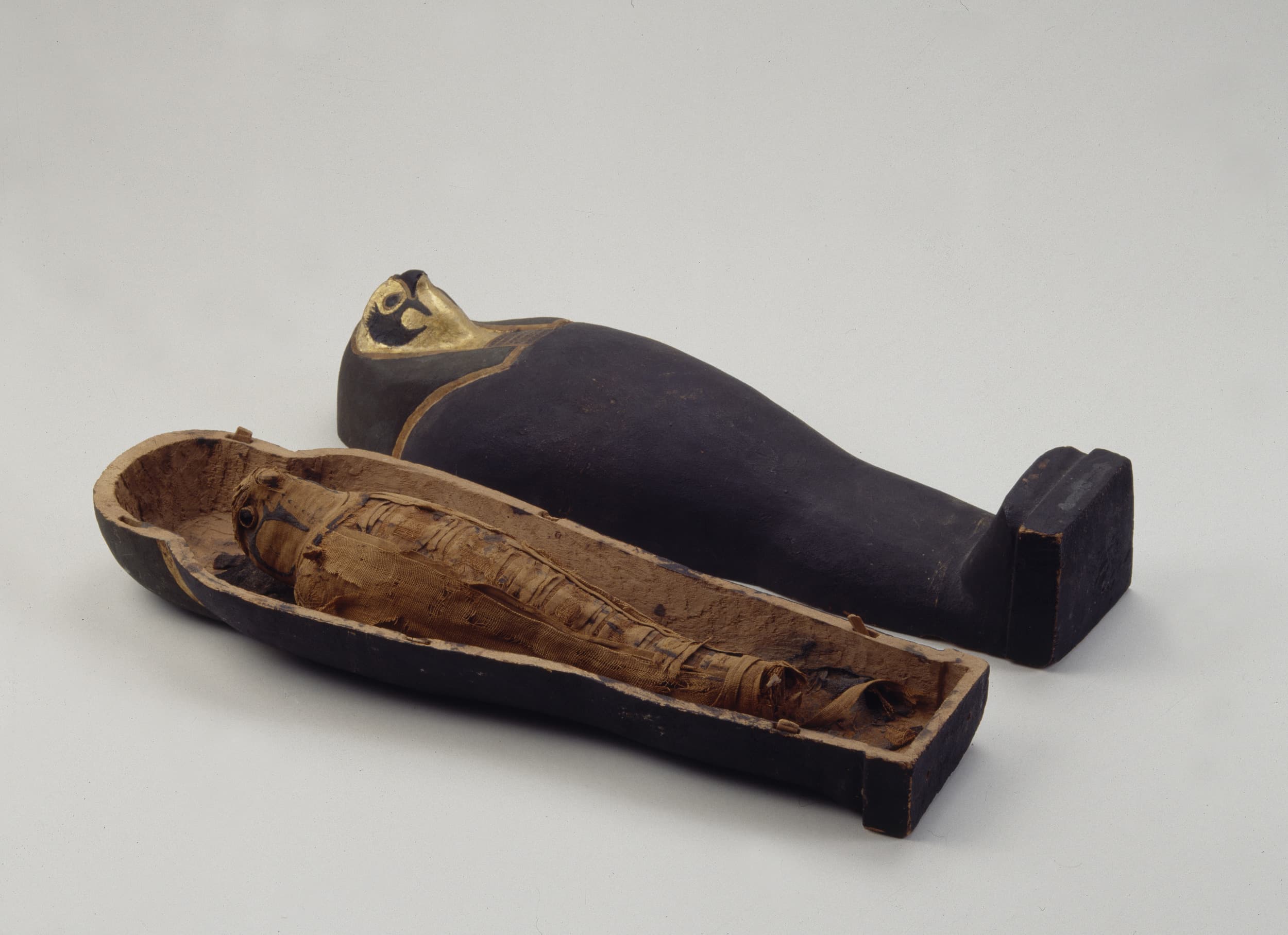 Eine kleine Mumie mit bemaltem Gesicht liegt in einem teilweise geöffneten schwarzen Sarkophag auf einem schlichten Hintergrund.