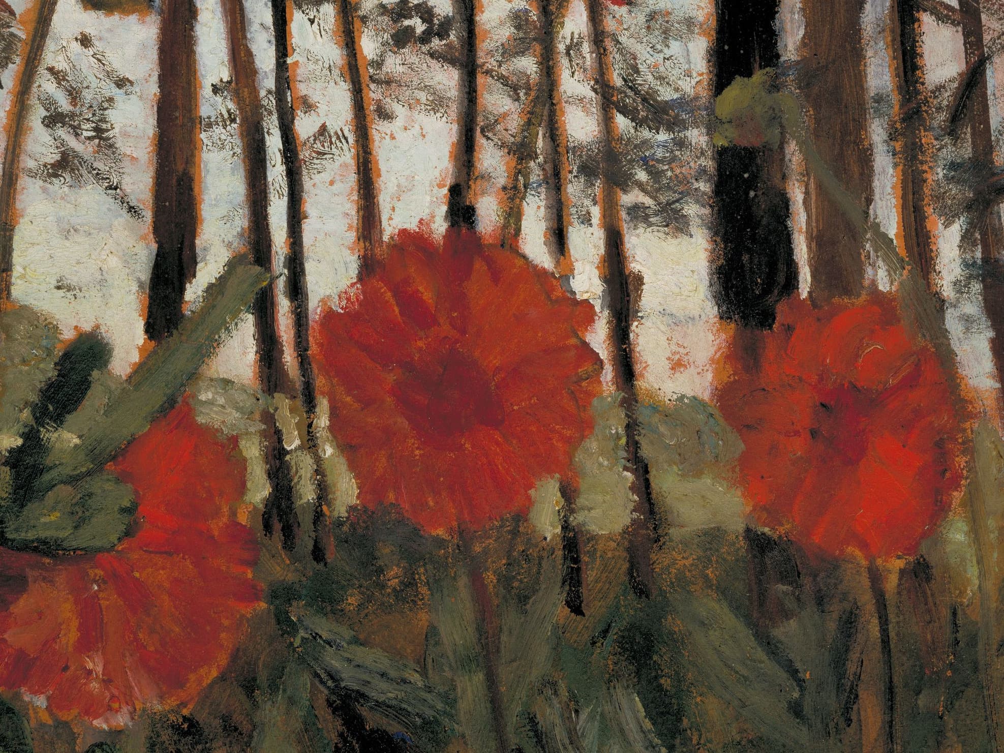 Red flowers with large petals in a forest setting, surrounded by tall trees and green foliage. The background shows a bright sky.