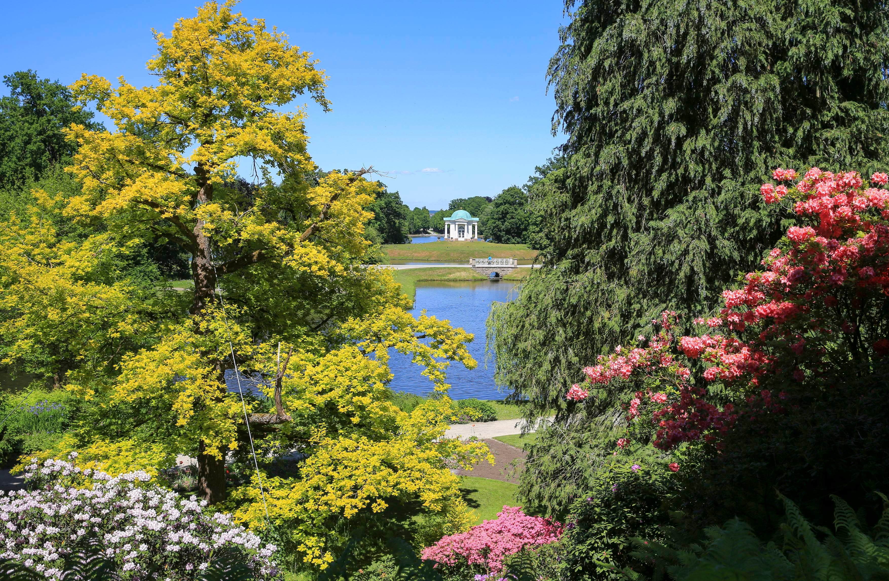 Lush garden with colorful flowers, tall trees, a pond, and a distant white gazebo under a clear blue sky.