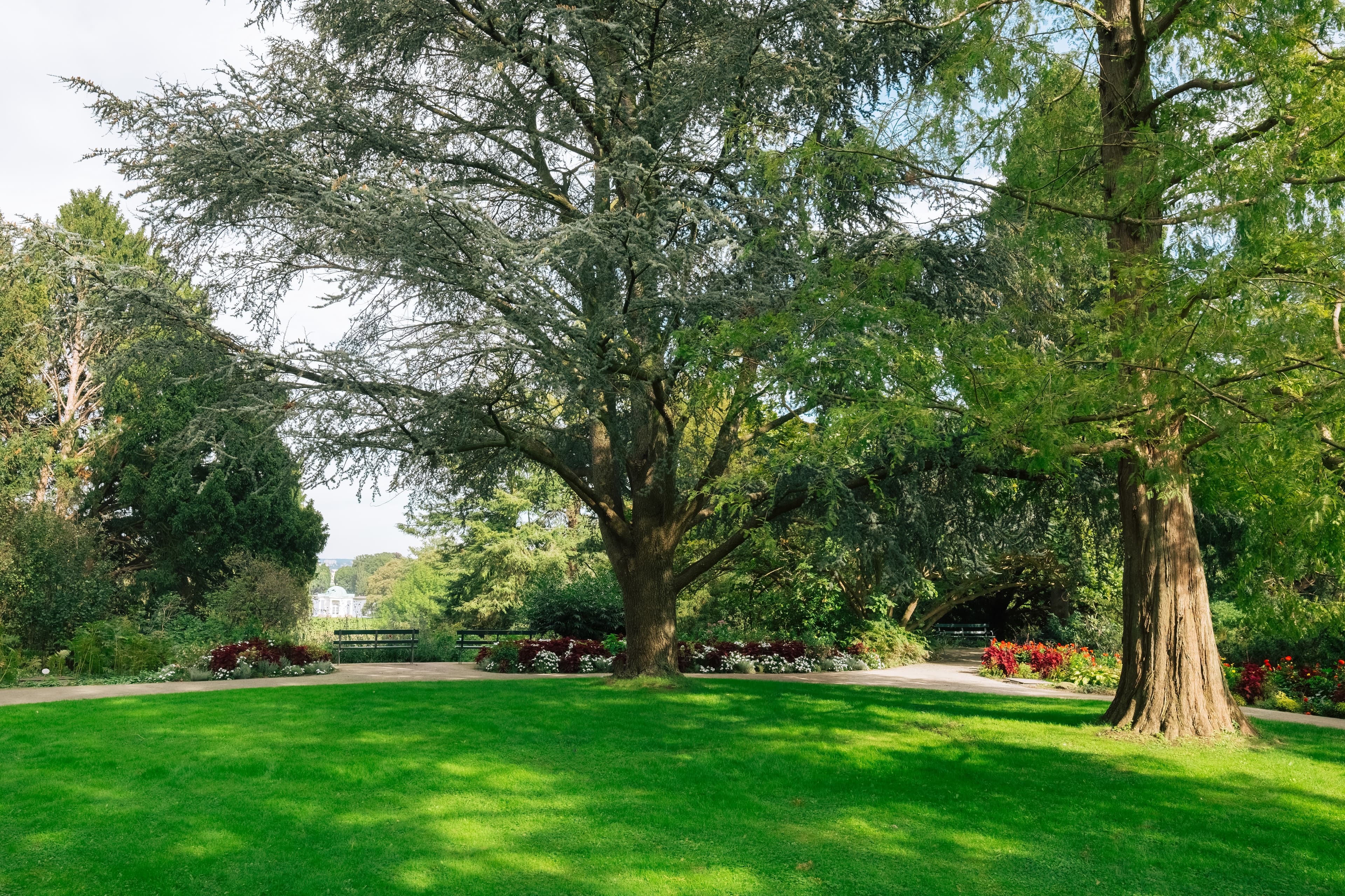 Green space surrounded by trees, shrubs and a path on the island of Siebenbergen
