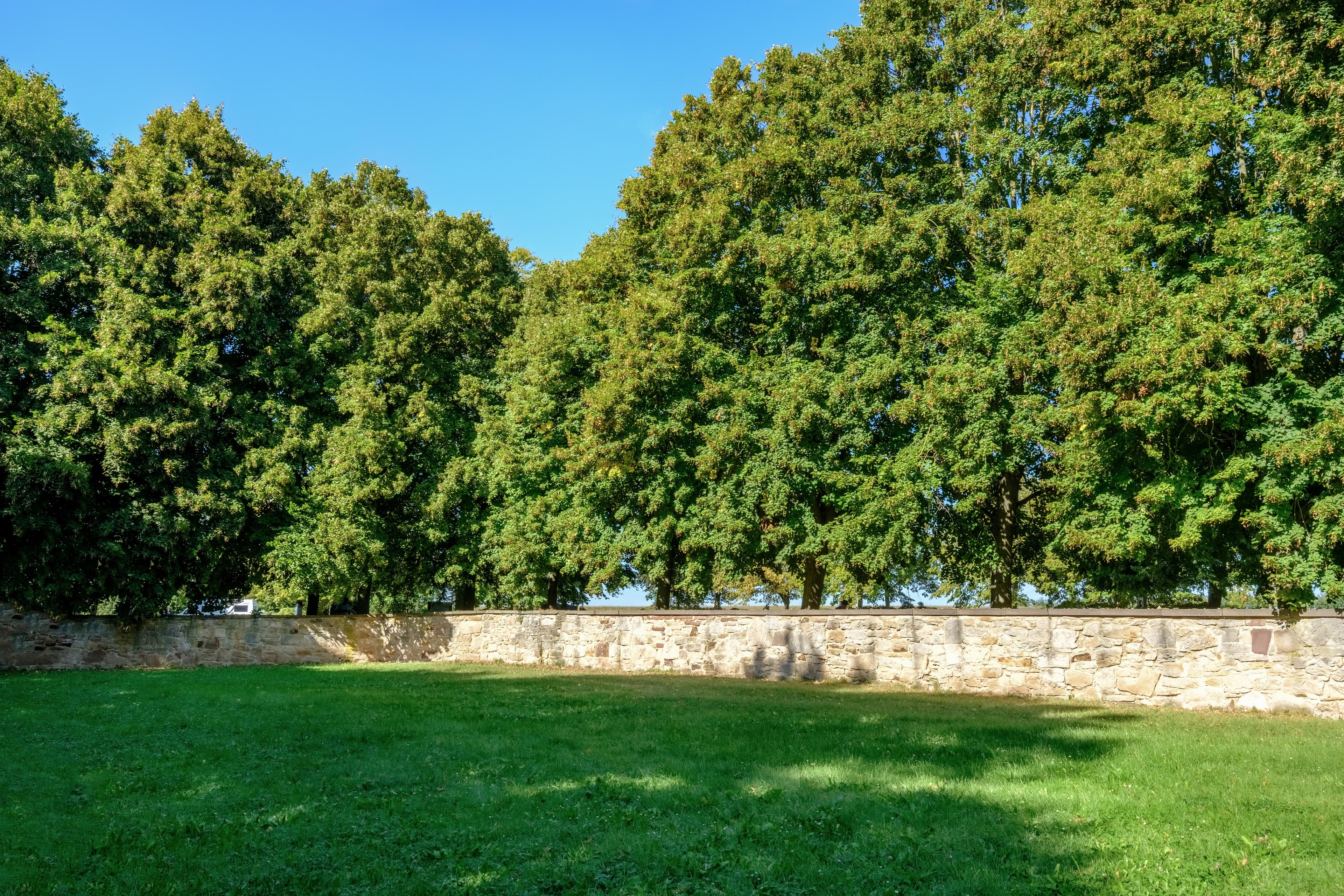 Blick über eine Rasenfläche, eingegrenzt von einer Mauer, dahinter hohe Laubbäume